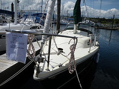 catalina sailboats for sale